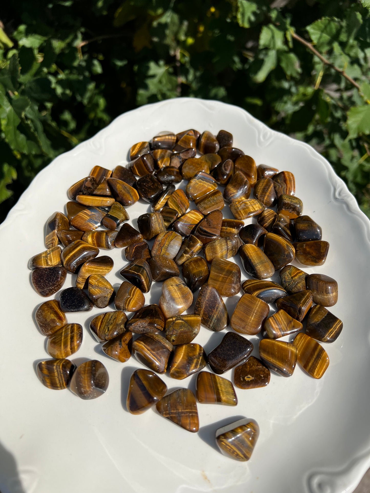 Tigers Eye