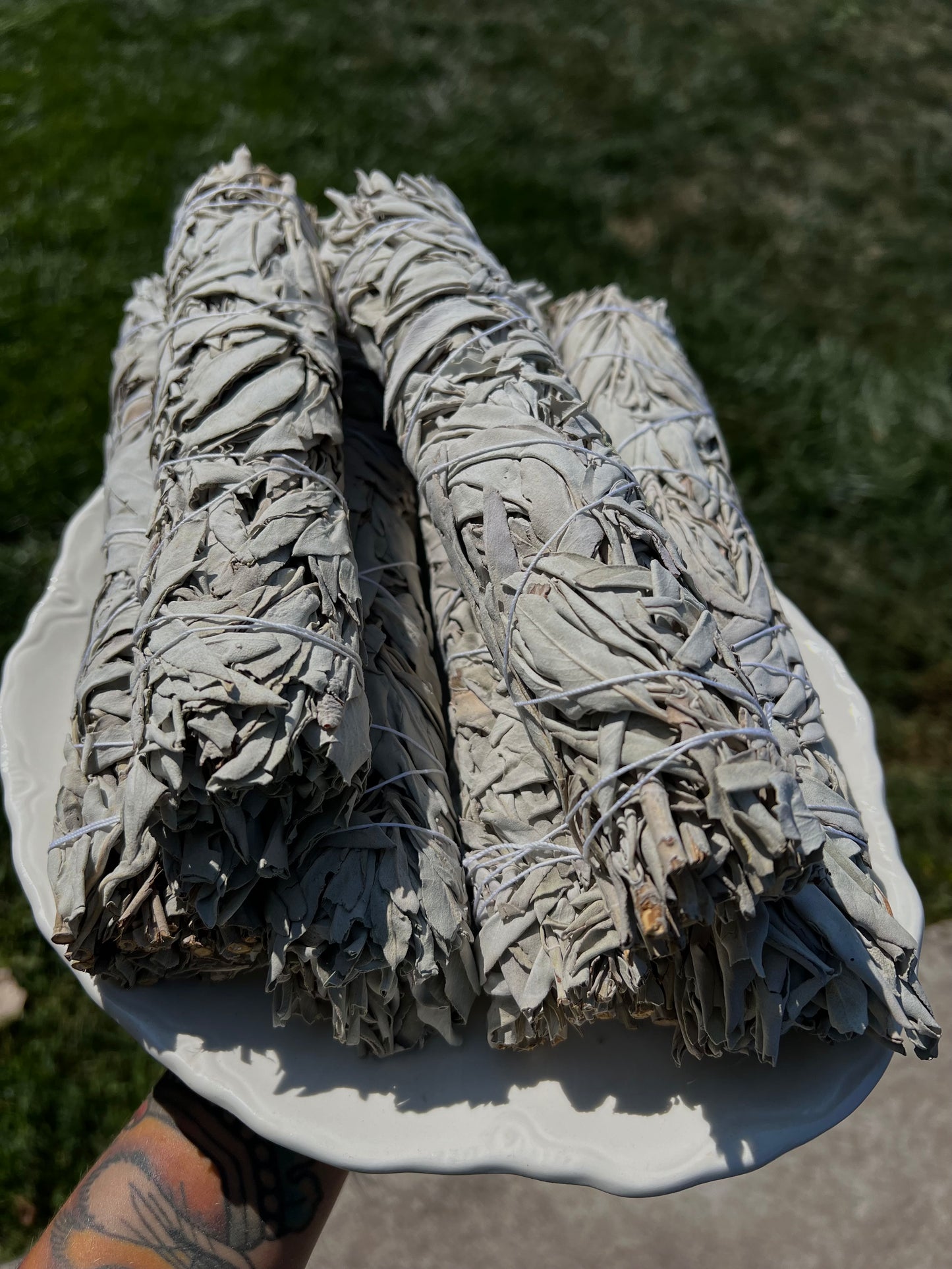 White California Sage (LG)