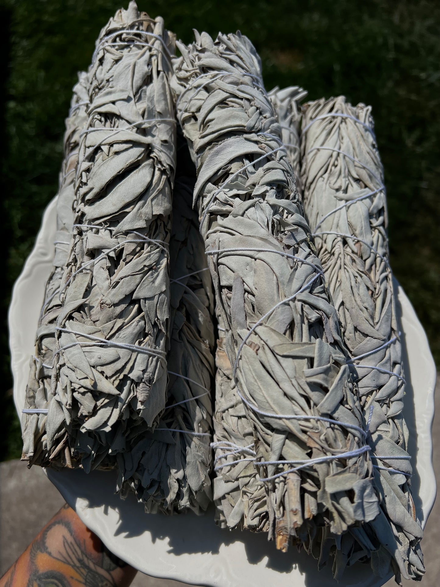 White California Sage (LG)