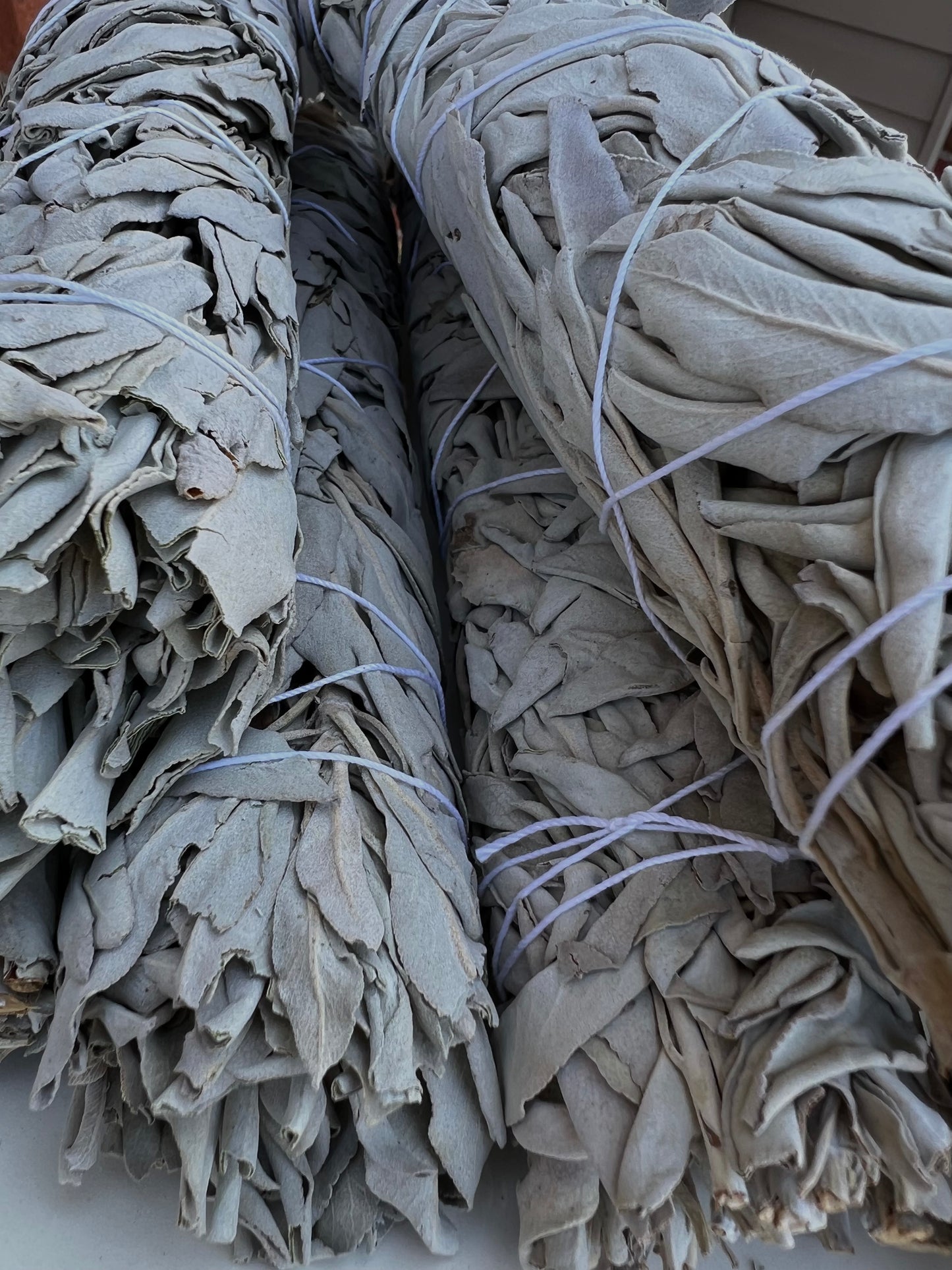 White California Sage (LG)
