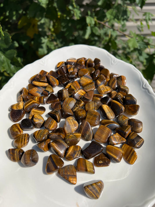 Tigers Eye