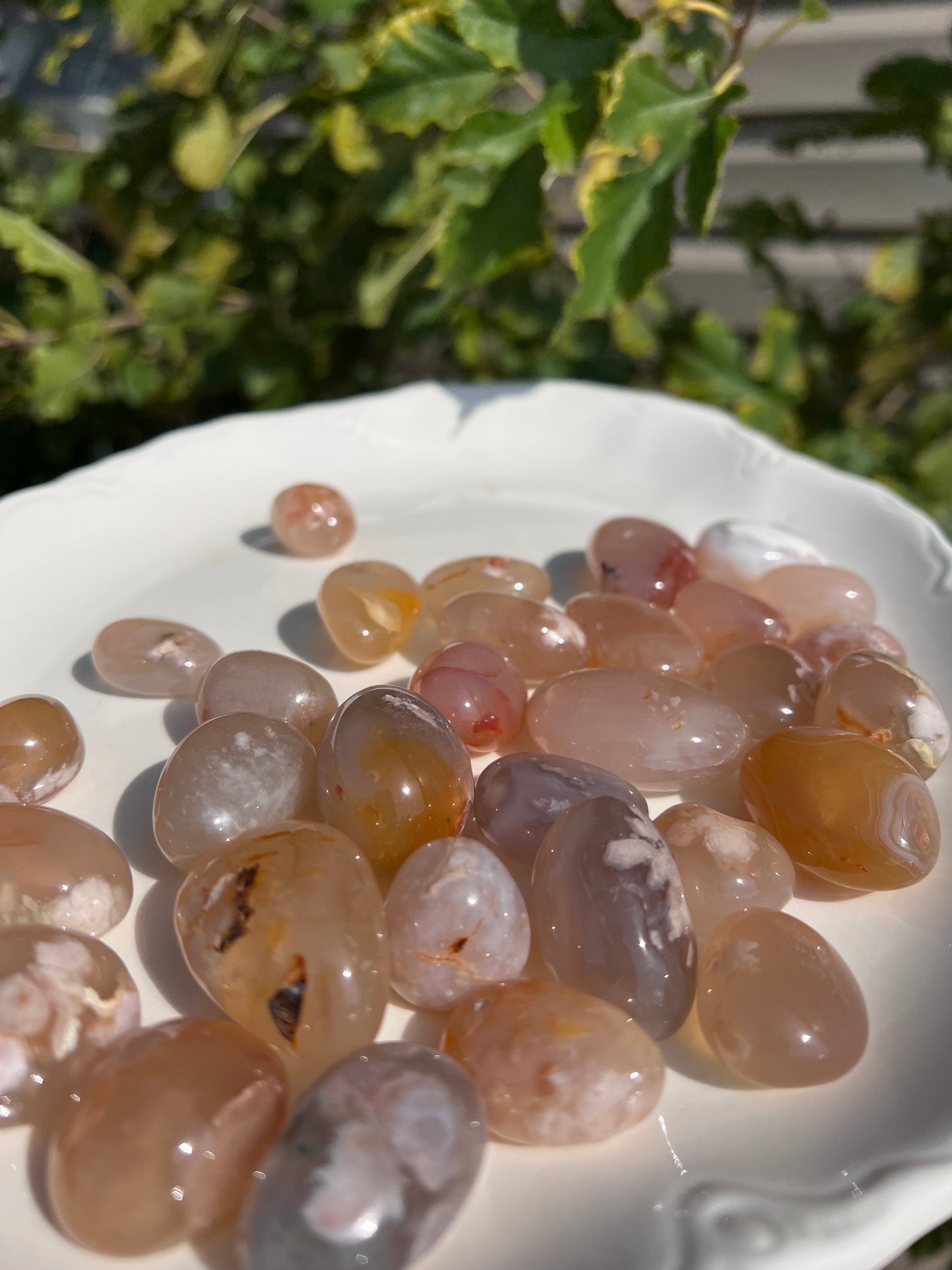 Flower Agate